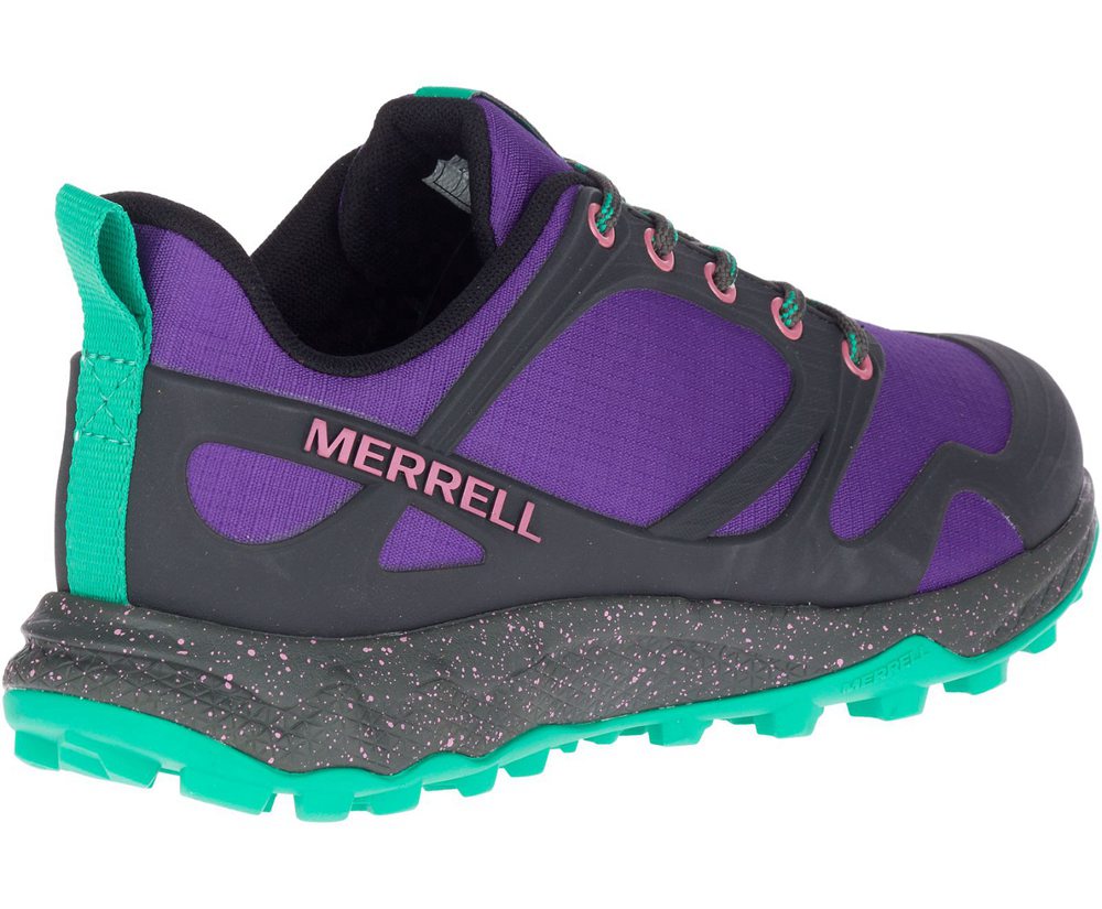 Buty Trekkingowe Merrell Damskie Fioletowe/Czarne - Altalight - 496385-XTZ